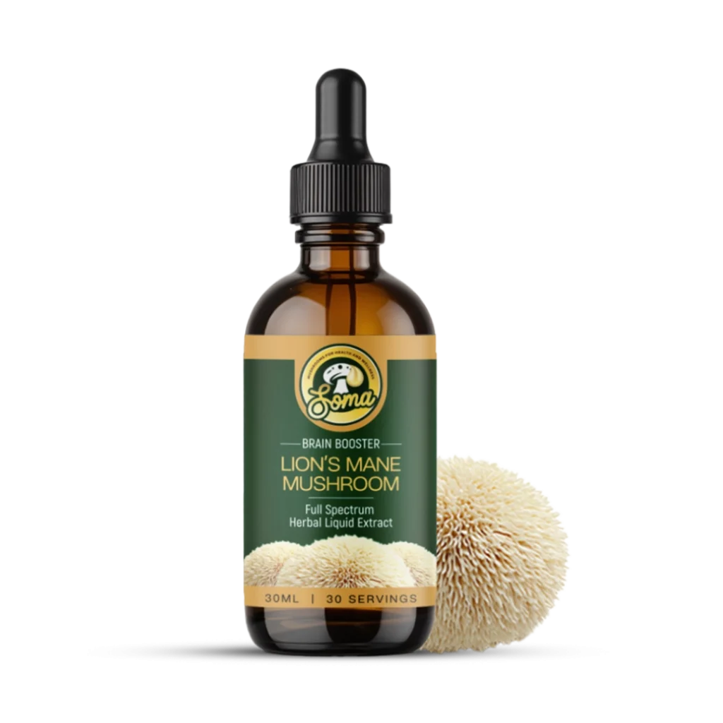 Lion’s Mane Mushroom Supplement