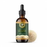 Lion’s Mane Mushroom Supplement