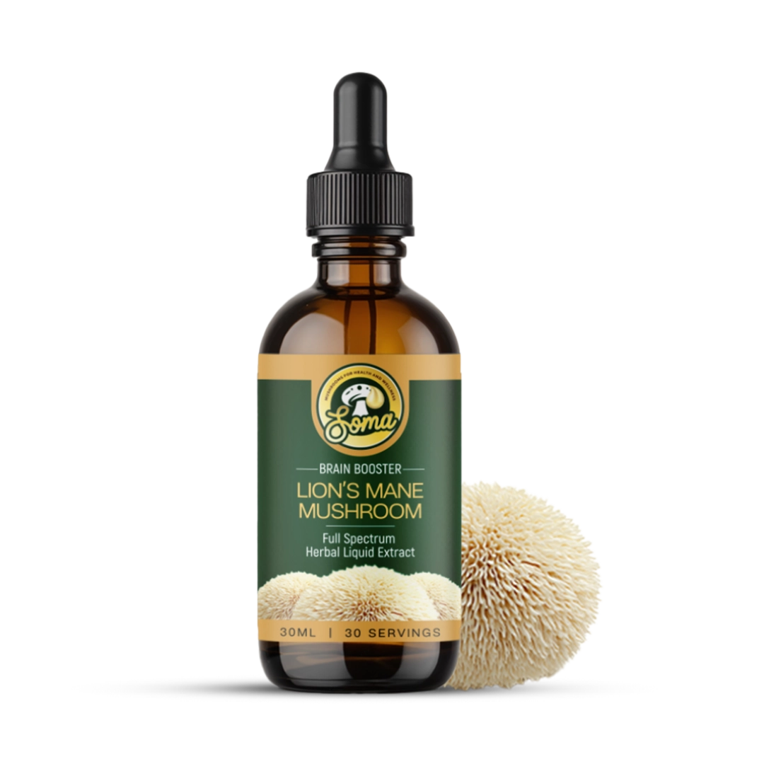 Lion’s Mane Mushroom Supplement