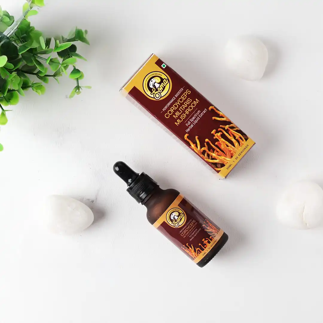 Lion’s Mane mushroom