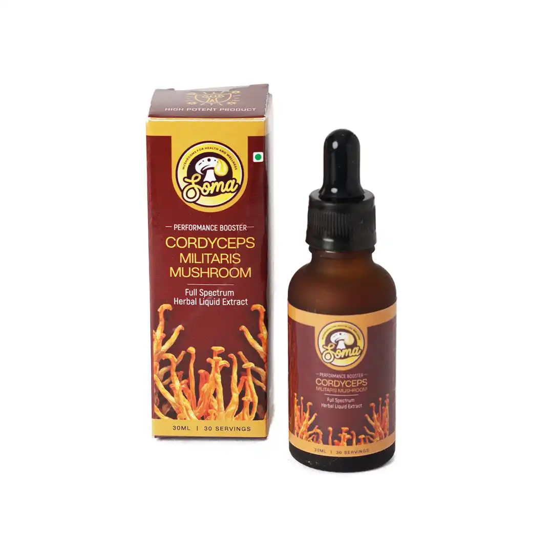 Lion’s Mane mushroom