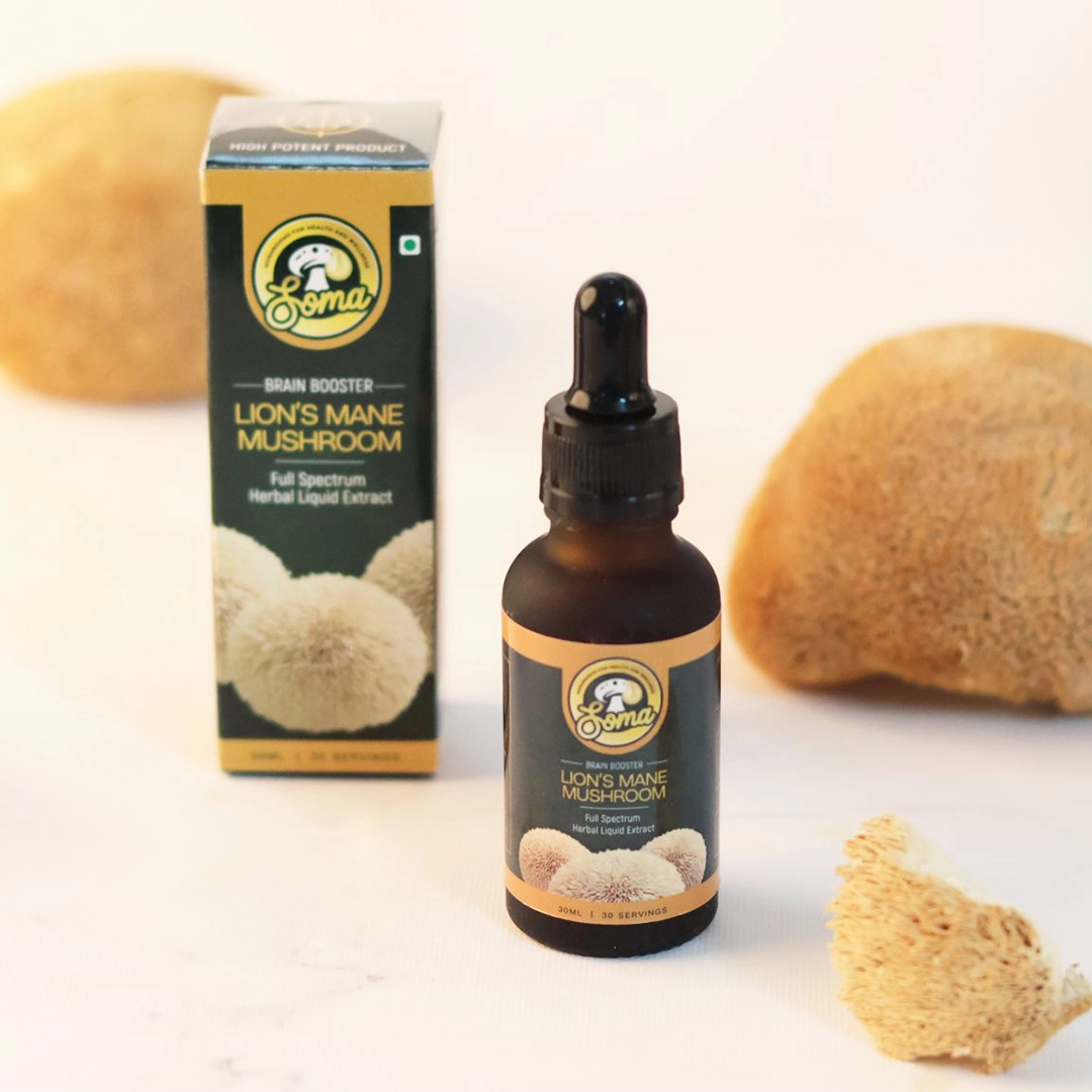 Lion’s Mane mushroom