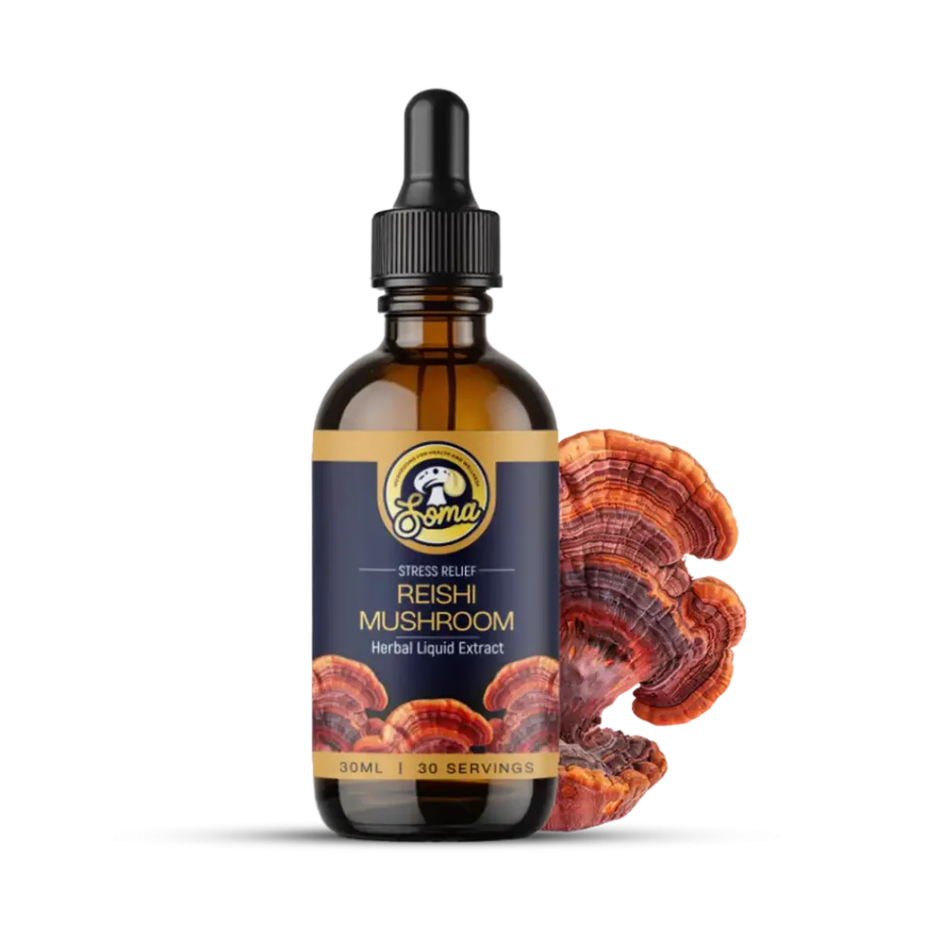 Reishi Mushroom Extract