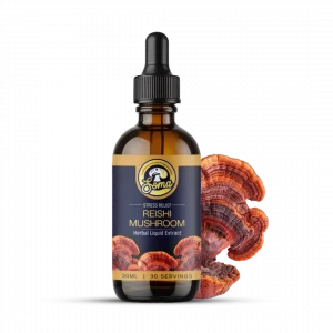 Best Reishi Mushroom Extract in India