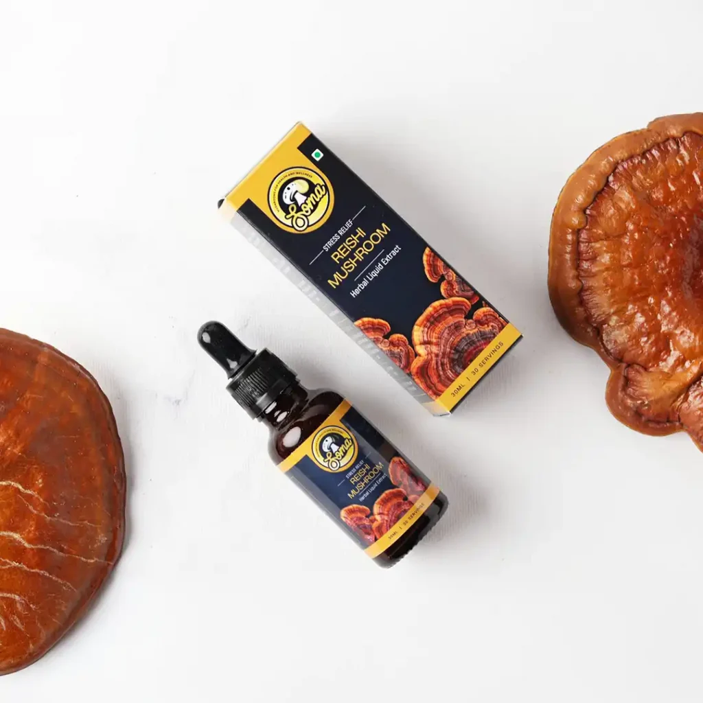 Medicinal Mushrooms for Stress, Anxiety & Better Sleep