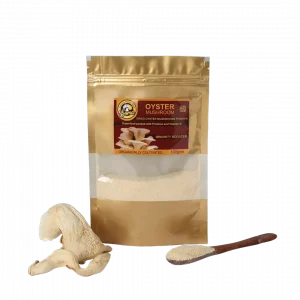 Oyster Powder | Organic | Vegan Mushroom Powder | Build Immunity and Energy | 100 g