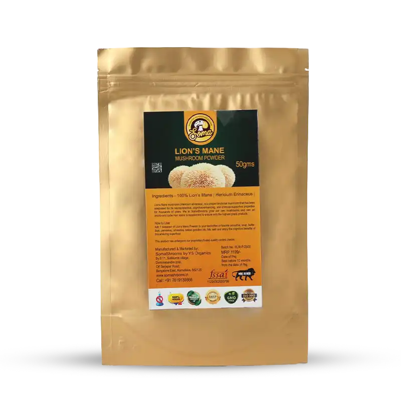 Lion’s Mane Powder benefits