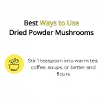 Lion’s Mane mushroom