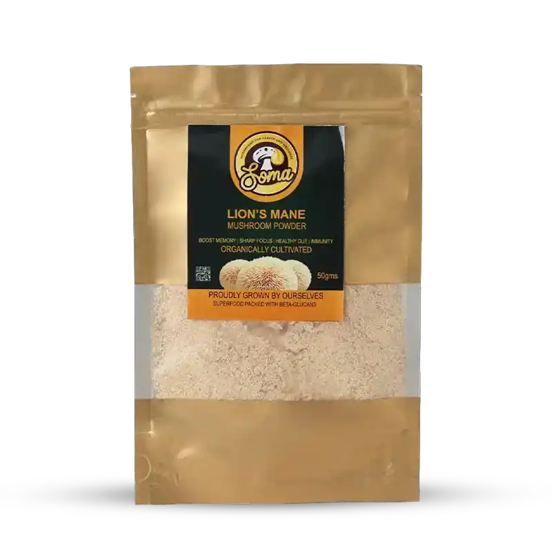 Lion’s Mane Mushroom Supplement