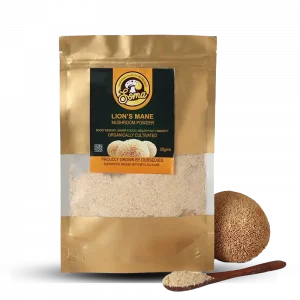 Lion’s Mane Powder benefits