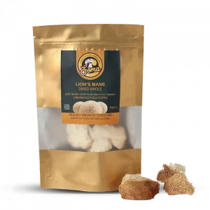 Lion’s Mane mushroom