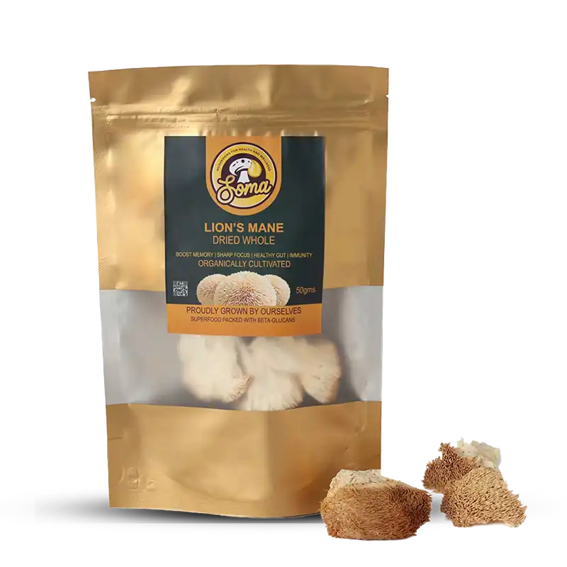 Lion’s Mane mushroom