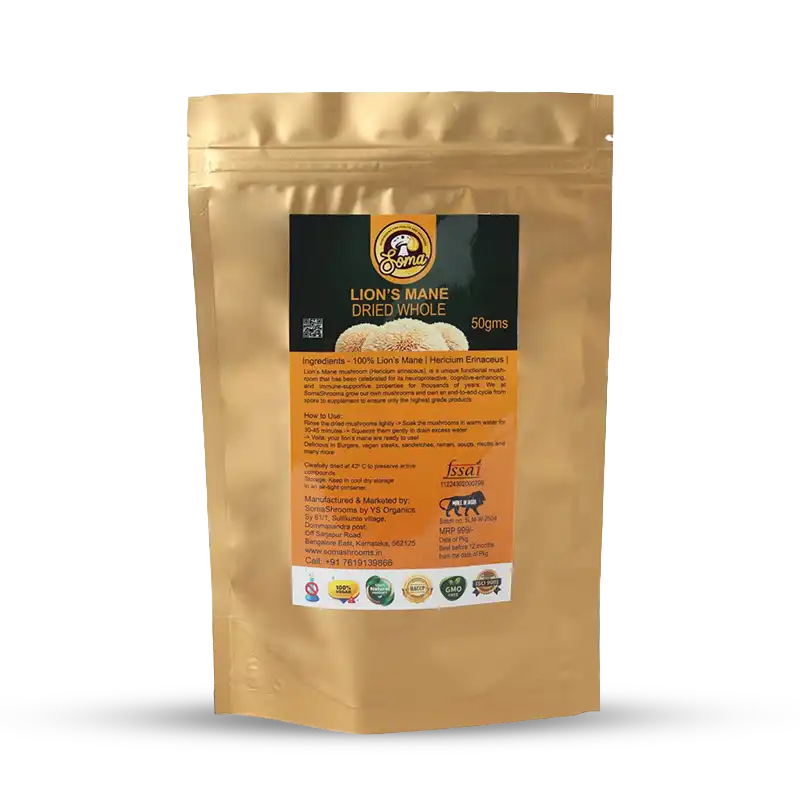 Lion’s Mane mushroom