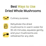 Lion’s Mane mushroom