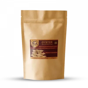 Lion’s Mane mushroom