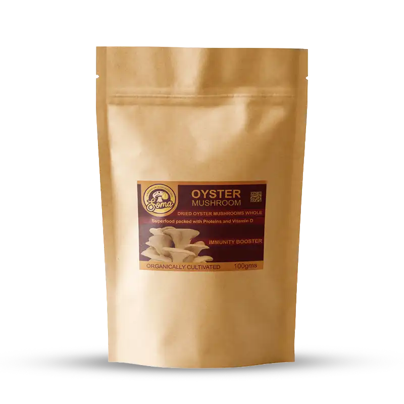 Lion’s Mane mushroom