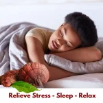 Lion’s Mane mushroom