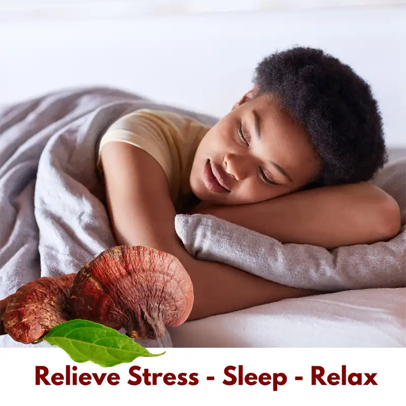 Lion’s Mane mushroom