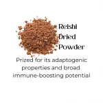 Lion’s Mane mushroom