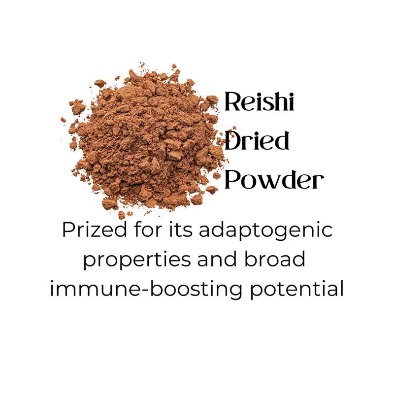 Lion’s Mane mushroom