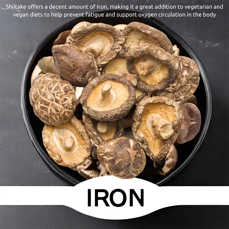 Lion’s Mane mushroom