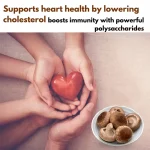 Lion’s Mane mushroom