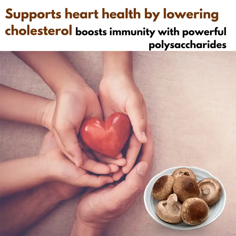 Lion’s Mane mushroom