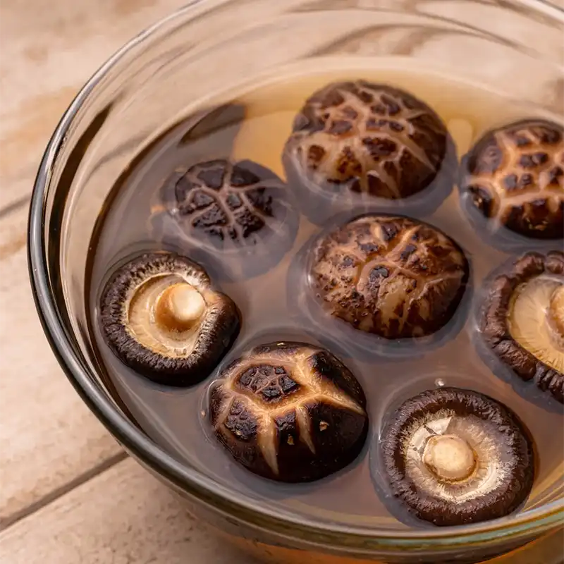 Lion’s Mane mushroom