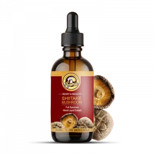 Functional Mushrooms India: A Science-Backed Wellness Revolution