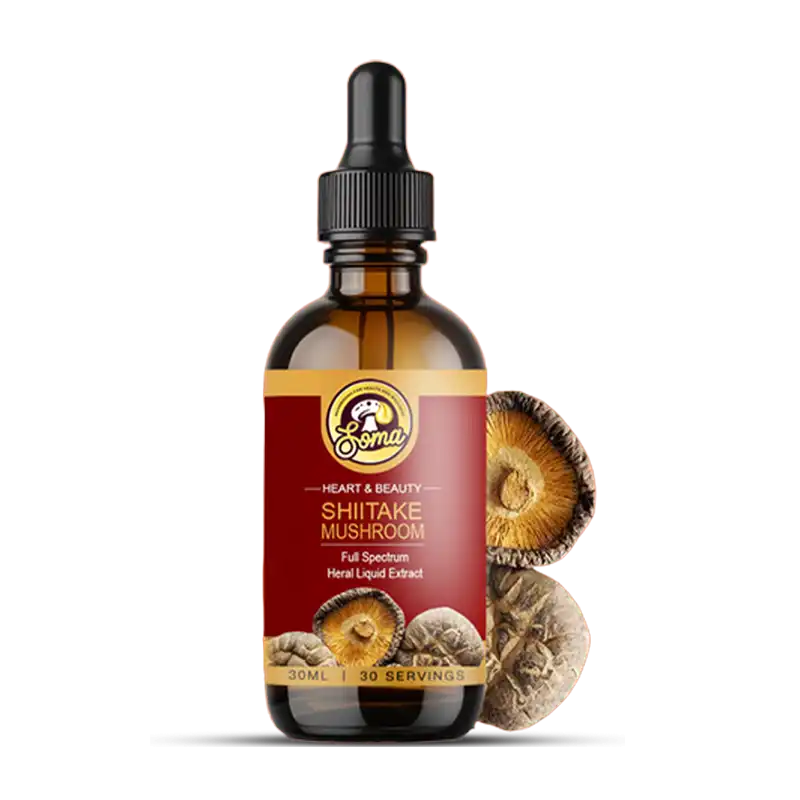 Functional Mushrooms India: A Science-Backed Wellness Revolution