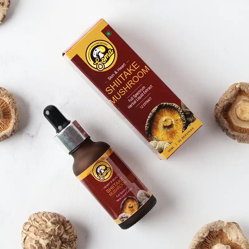 Lion’s Mane mushroom