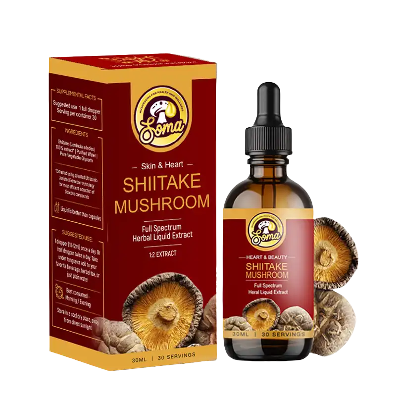 Lion’s Mane mushroom