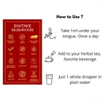 Lion’s Mane mushroom