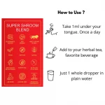 Lion’s Mane mushroom