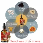 Lion’s Mane mushroom