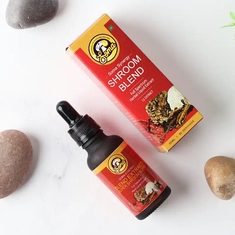 Lion’s Mane mushroom