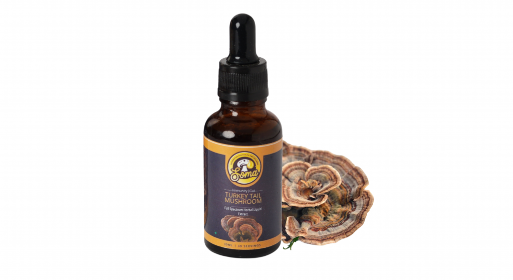 Medicinal Mushrooms for Modern Indian Lifestyle