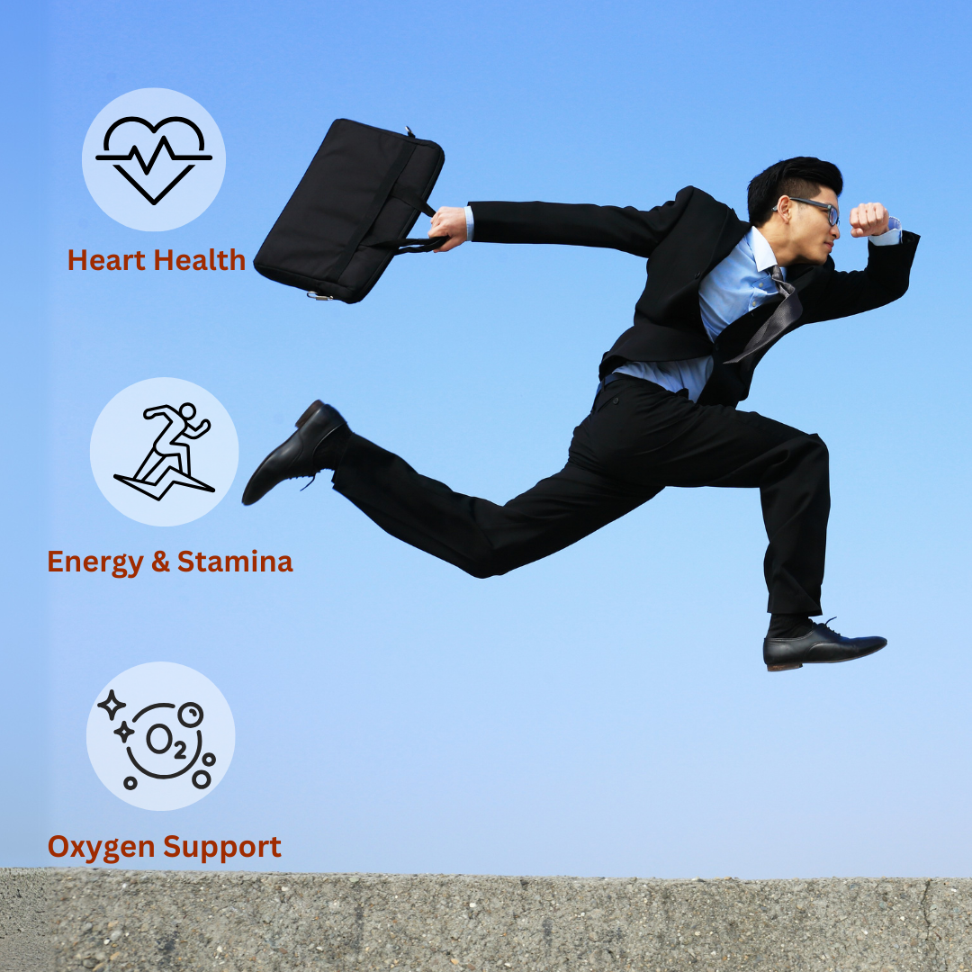 Lion’s Mane mushroom