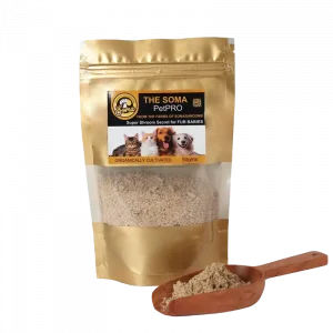 medicinal mushrooms for dogs