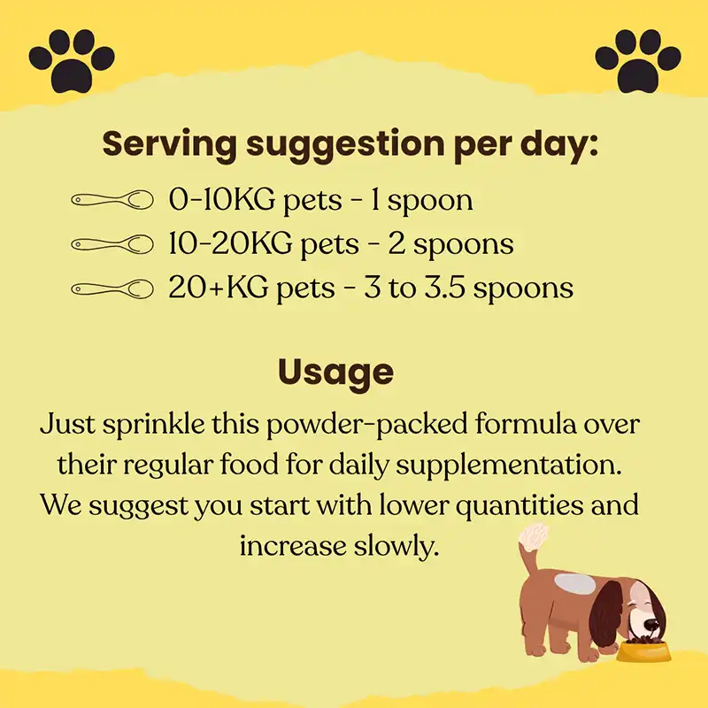 Lion’s Mane mushroom