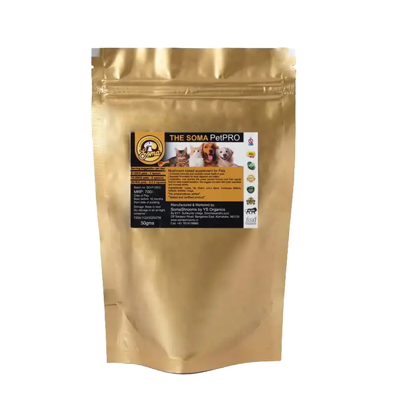 Lion’s Mane mushroom