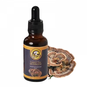 Turkey Tail Mushroom Benefits