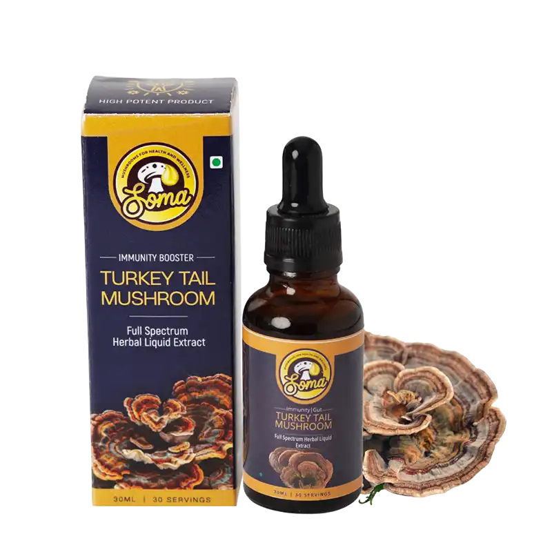 Functional Mushrooms India: A Science-Backed Wellness Revolution