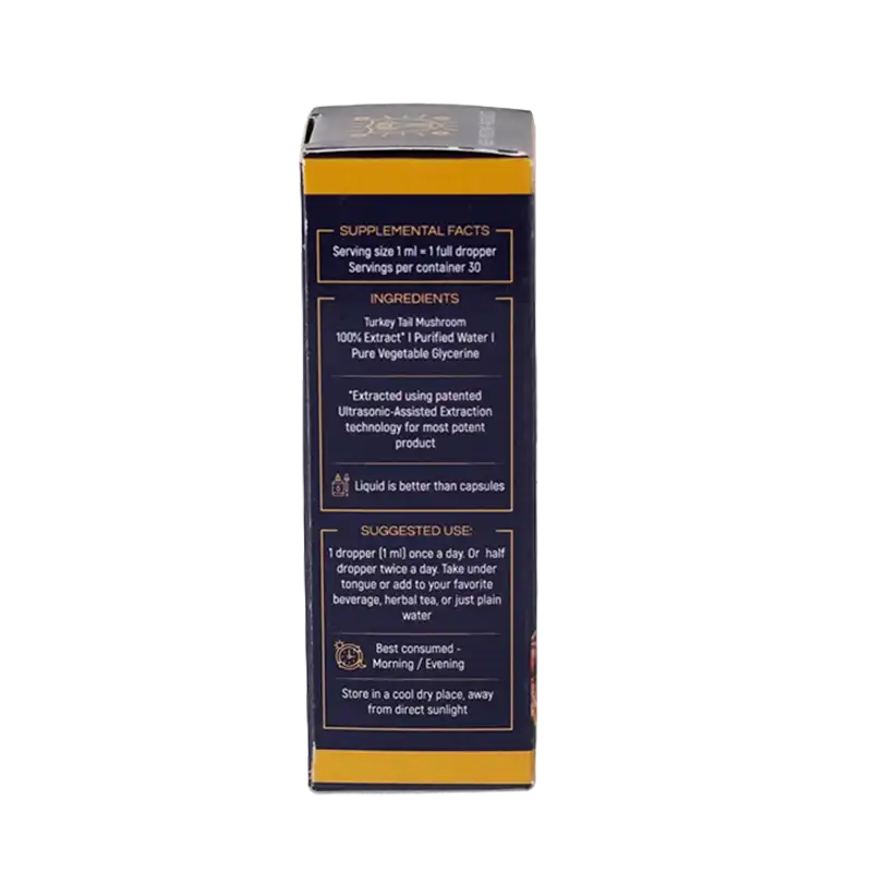 Lion’s Mane mushroom