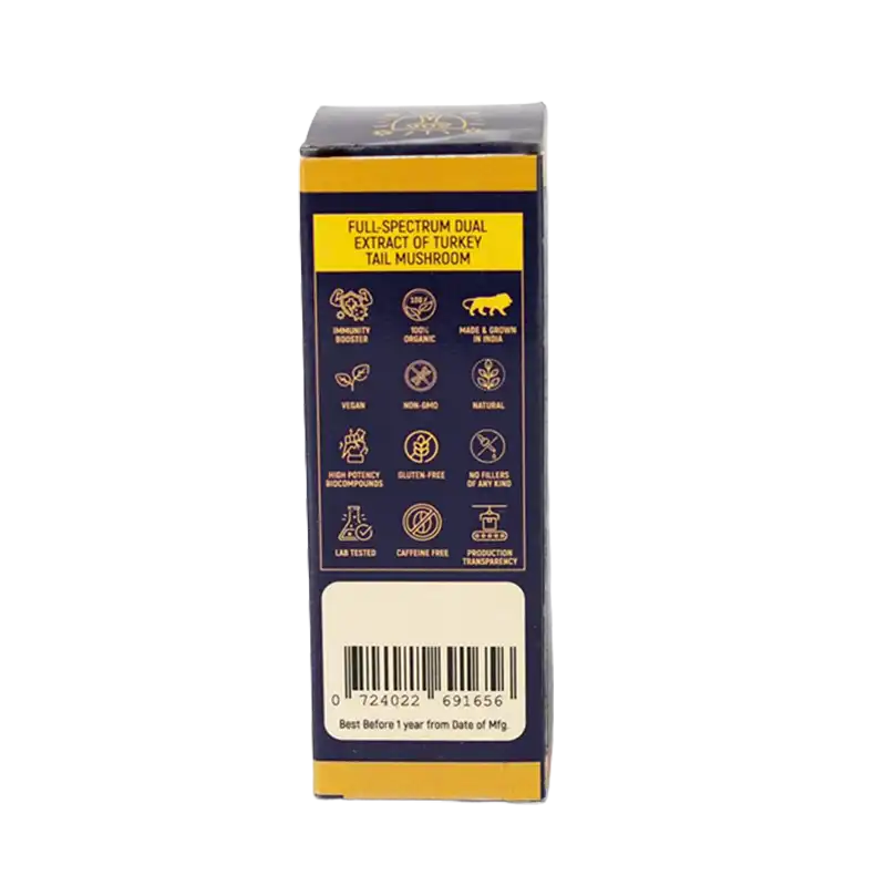 Lion’s Mane mushroom