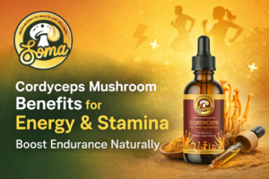 Cordyceps Mushroom Benefits for Energy & Stamina