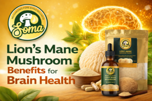 Lion’s Mane Mushroom Benefits for Brain Health