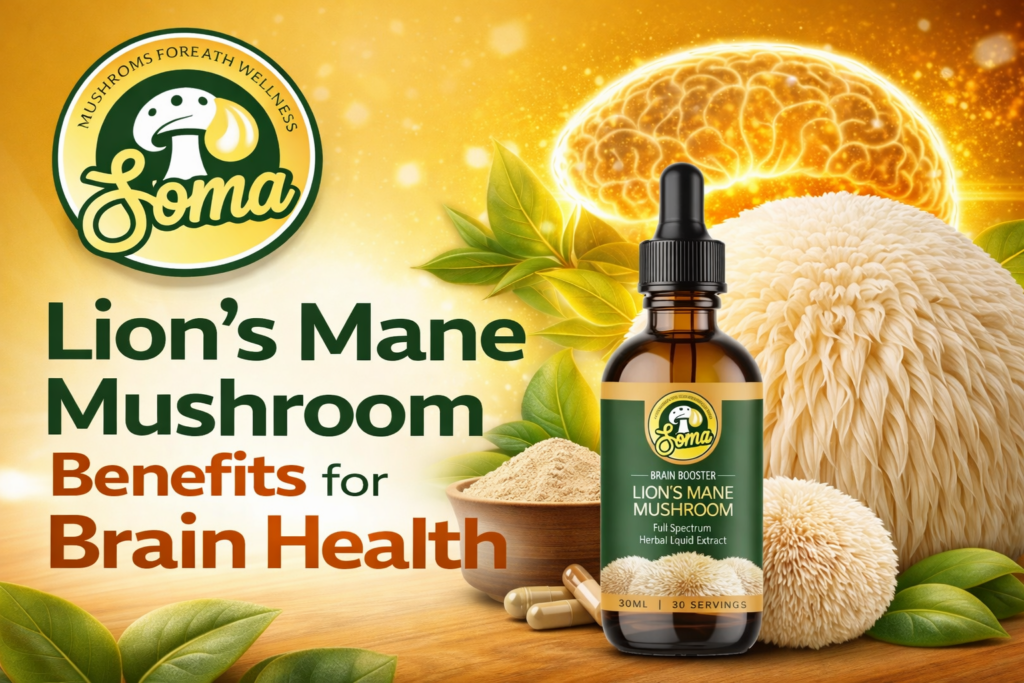 Lion’s Mane Mushroom Benefits for Brain Health