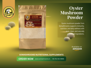 Oyster Mushroom Powder