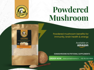 Powdered Mushroom